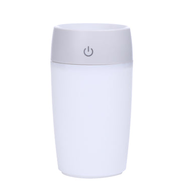Mini Mist Maker & Purifier