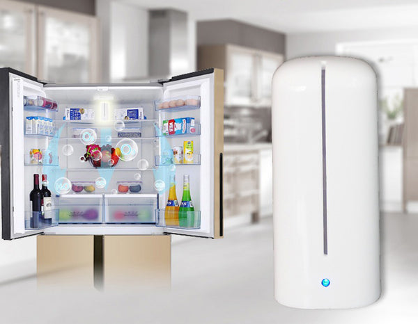 Fresh Cleaner Ozone Generator